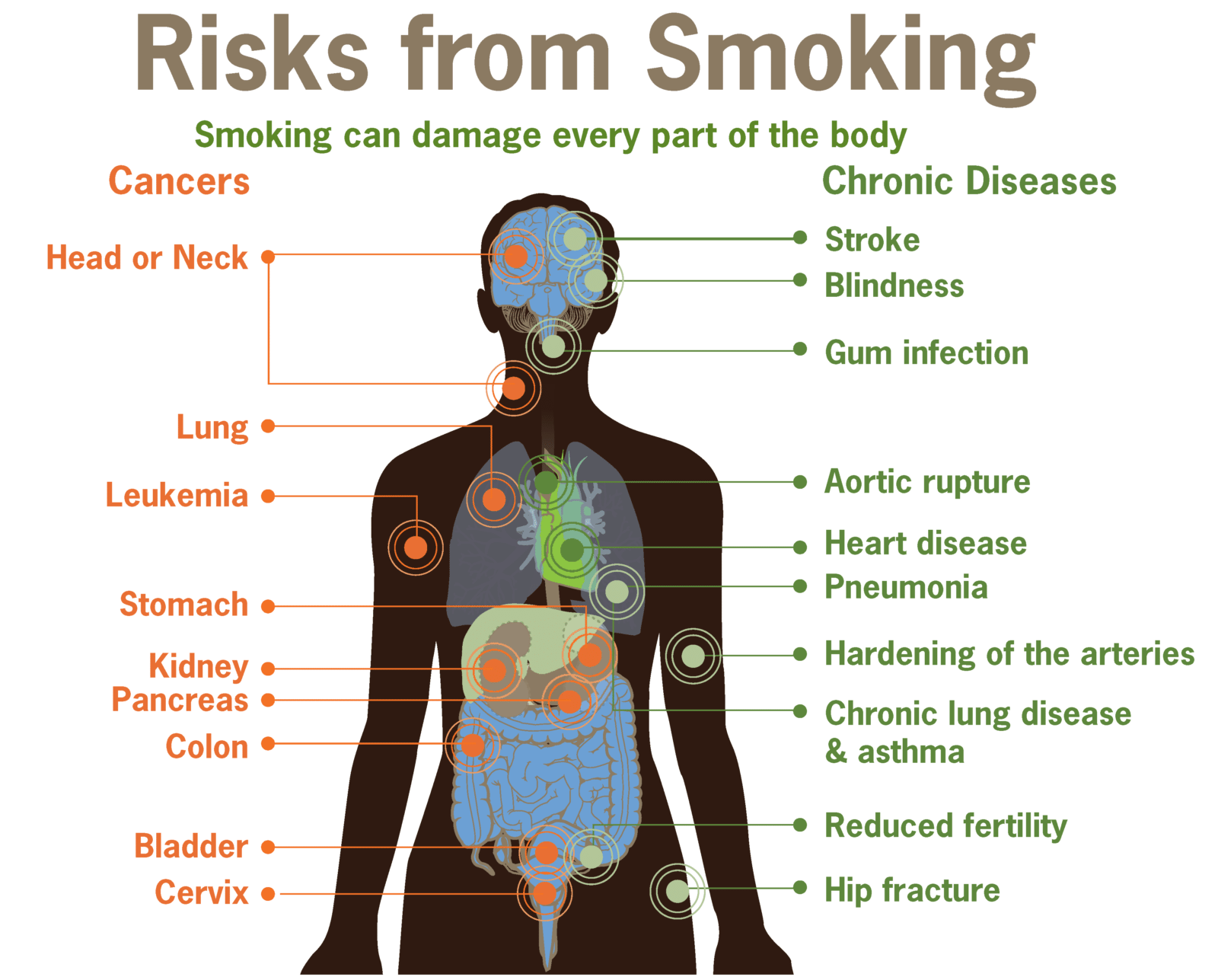 Effects of Smoking on the Body Southeast Radiation Oncology Group, P