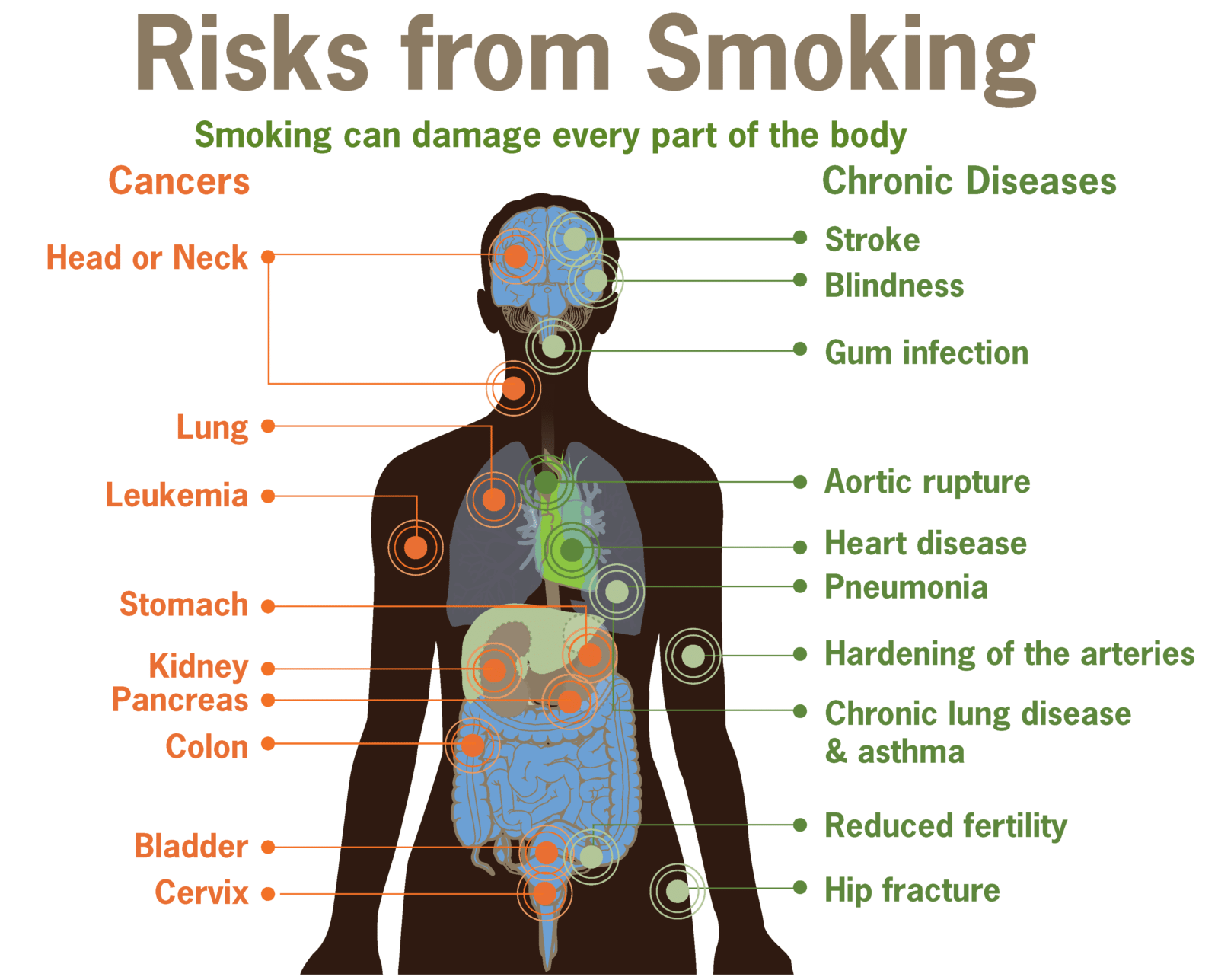 How Does Smoking Effect A Person?  Southeast Radiation 