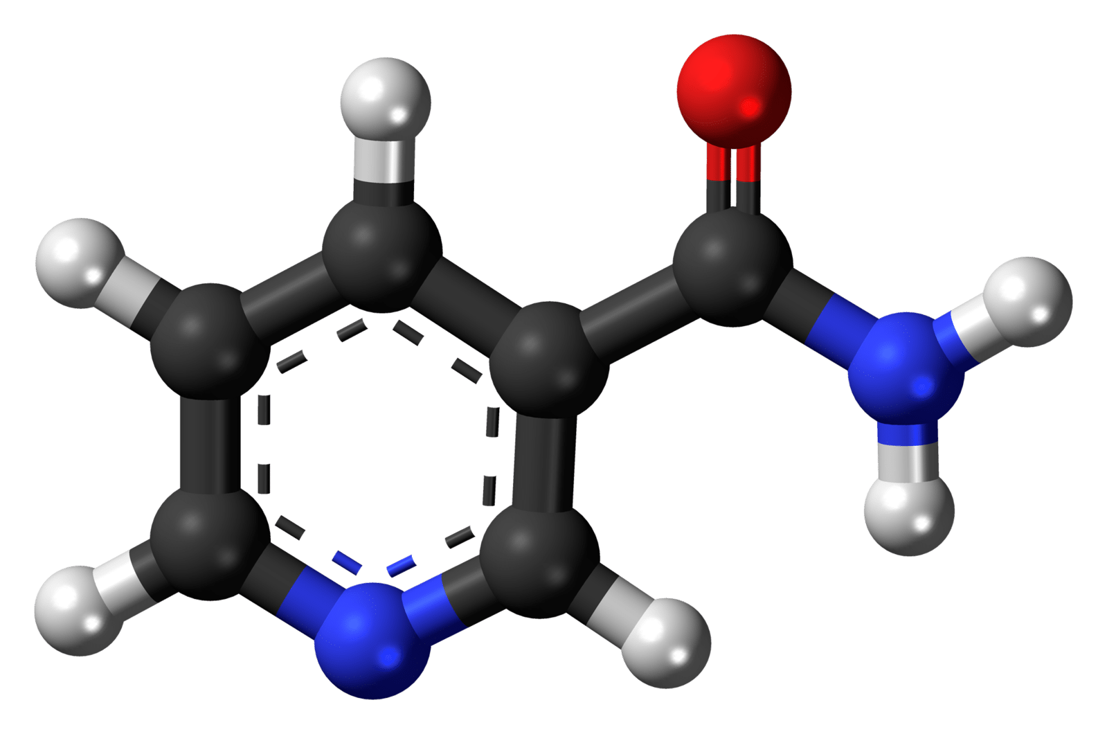 Nicotinamide Vs Nr